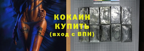 мет Арсеньев
