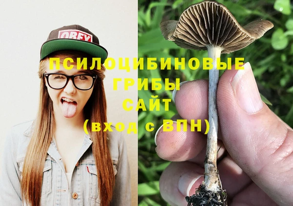 соль курить ск Армянск